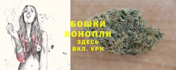 spice Белокуриха