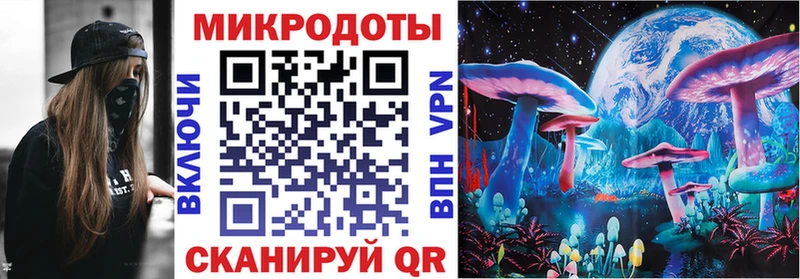 Галлюциногенные грибы Psilocybine cubensis  как найти наркотики  площадка официальный сайт  Кемерово 
